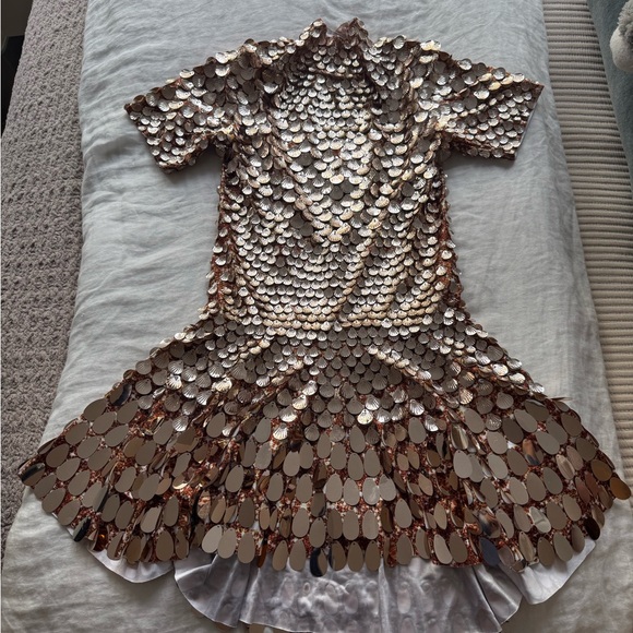 The Party Edition Nala Dress Rose Gold - Picture 8 of 8